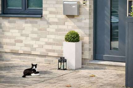 Haus zum Mieten in Bremen 2.250,00 € 175 m²