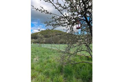 Gartengrundstück Garten in Aßlar-Oberlemp zu verpachten