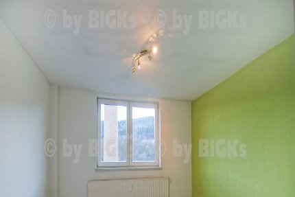 BIGKs - Zella-Mehlis: 4 Zimmer Wohnung,separate Küche, Wannenbad (-;)