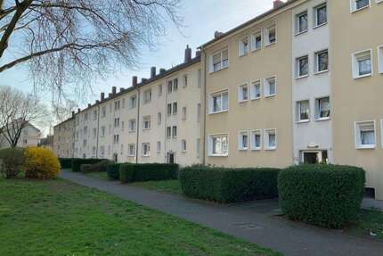 Wohnung zum Mieten in Duisburg 519,00 € 50 m²