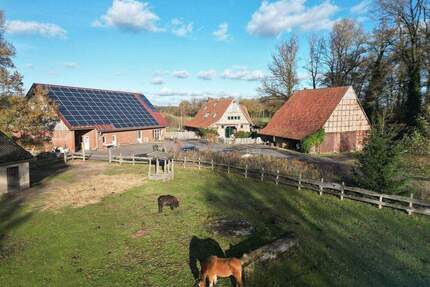 Ein Areal, das Maßstäbe setzt! Qualität in bester Güteklasse inklusive genehmigter Pferdehaltung! - Rahden Pr. Ströhen