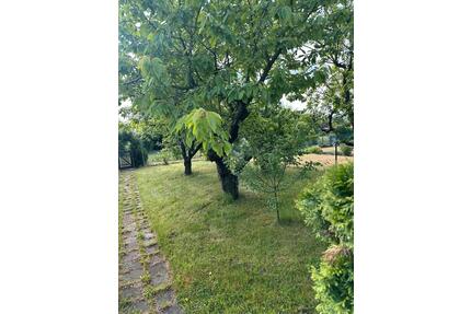 Kleine traumgarten in Salzgitter Bad abzugeben - Hannover Bothfeld-Vahrenheide