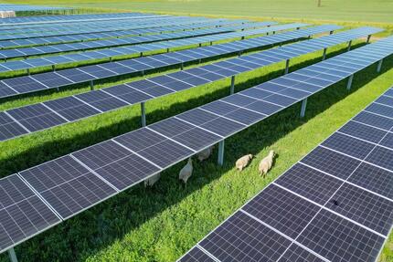 Agri-PV: Mehr Ertrag aus Ihrer Fläche kombinieren Sie Landwirtschaft & Solarstrom - Bautzen