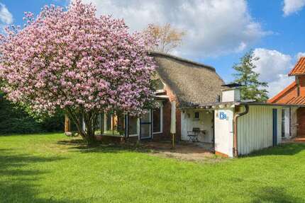 Haus zum Kaufen in DrochtersenDornbusch 419.000,00 € 150 m² - Drochtersen/Dornbusch