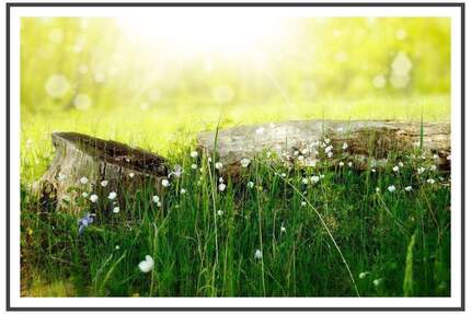 DG-Wohlfühloase für sportliche, 3.OG ohne Lift mit EBK und Fußbodenheizung - Berlin Französisch Buchholz