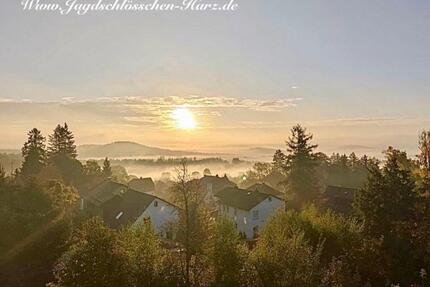 2 Etagen Penthouse moderne FeWo Ferienwohnung Harz Bad Sachsa,