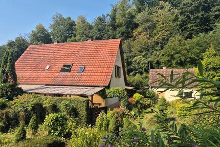 Ruhig-gelegene DHH in begehrter Lage von Lambrecht - Lambrecht (Pfalz)