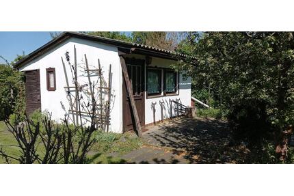 Gartenparzelle im KGV 