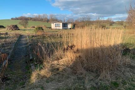 Kleingarten Schrebergarten - 30,00&nbsp;EUR Kaltmiete, ca.&nbsp; 0,00&nbsp;m&sup2; in Zittau (PLZ: 02763)