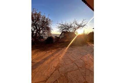 3-Zimmer-Kellerwohnung mit Terrasse u. Garten - Ebelsbach