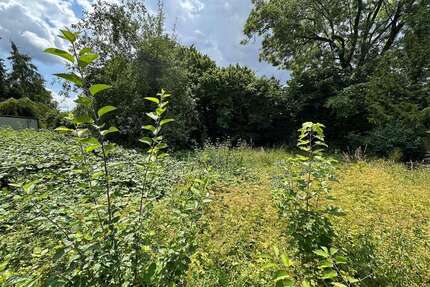 Grundstück zu verkaufen in Augsburg 780.000,00 € 1216 m²