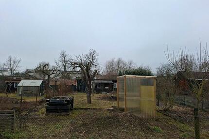 Garten in Wriezen, an fleißige Hände abzugeben. - Bad Freienwalde (Oder)