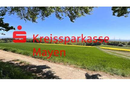 Grundstück zu verkaufen in Mayen 87.500,00 € 350 m²