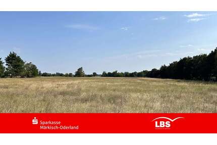 Grundstück zu verkaufen in Wriezen 87.000,00 € 717 m²