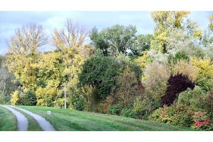 Grundstück zu verkaufen in Baarz 15.000,00 € 640 m²