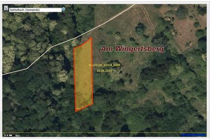 Wiese zu verpachten - 25,00&nbsp;EUR Kaltmiete, ca.&nbsp; 0,00&nbsp;m&sup2; in Annweiler am Trifels (PLZ: 76855)