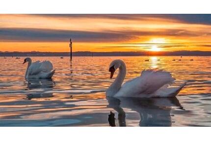 Wunderschöne Ferienwohnung in Markdorf am Bodensee ab Mai 2026