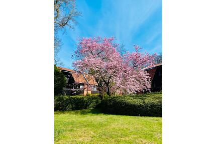 Wohnen in Oberneuland: Schöne Maisonettewohnung direkt im Grünen - Bremen