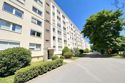 Wohnung zum Kaufen in Mülsen 29.900,00 € 56 m²