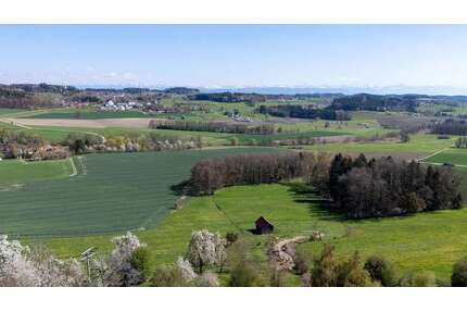 Haus zum Kaufen in Grünkraut 895.000,00 € 155 m²