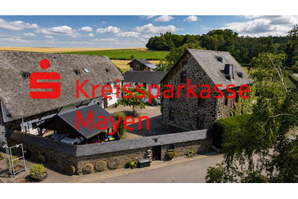 Haus zum Kaufen in Wierschem 1.800.000,00 € 623 m²