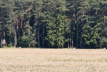 Einfamilienhaus in Visselhövede OT Schwitschen zu verkaufen