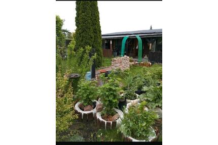 Pachtgarten Sommerlaube - 2.500,00&nbsp;EUR Kaltmiete, ca.&nbsp; 0,00&nbsp;m&sup2; in Halberstadt (PLZ: 38820)