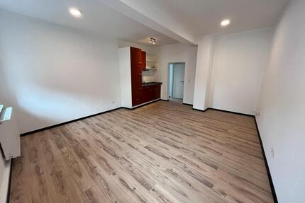 Charmante 1-Zimmer-Wohnung + modernes Bad & Einbauküche - Albisheim (Pfrimm)