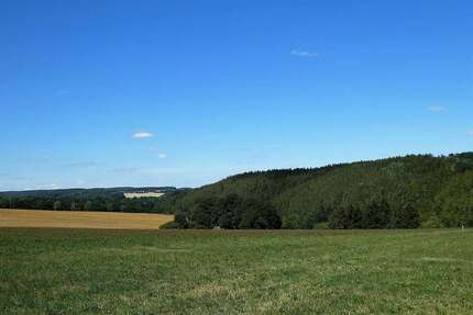 Grundstück zu verkaufen in Elsterberg 69.000,00 € 920 m²