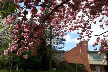 Provisionsfreie Immobilie - 850.000,00&nbsp;EUR Kaufpreis, ca.&nbsp; 433,00&nbsp;m&sup2; in Erfde (PLZ: 24803)