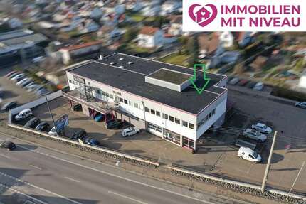 Büro in Lauingen 1.300,00 € 171 m²