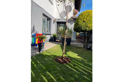 Top Ferienwohnung, Riekes, Sauerland, Osterferien, Kurztripp - Schmallenberg