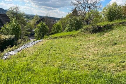 Gemüse und Beeren Stückle - 50,00&nbsp;EUR Kaltmiete, ca.&nbsp; 0,00&nbsp;m&sup2; in Schorndorf (PLZ: 73614)