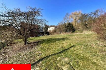 naturnahes Baugrundstück mit Potenzial in Ringgau-Datterode!