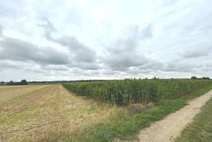 Grundstück in Kettershausen-Zaiertshofen 289.900,00 € 30349 m²