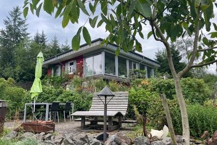 Waldrefugium nahe Rothaarsteig – 6.000 m² Naturgrundstück - Hilchenbach