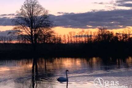 Haus zum Kaufen in Liebenwalde 140.000,00 € 26 m²