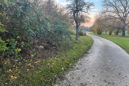 Gartengrundstück in Illingen - 2.000,00&nbsp;EUR Kaltmiete, ca.&nbsp; 0,00&nbsp;m&sup2; in Besigheim (PLZ: 74354)