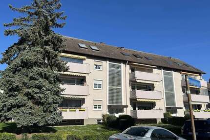 Wohnung zum Kaufen in Breisach 285.000,00 € 102 m²