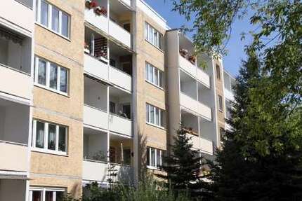 Wohnung zum Mieten in Zeitz 195,00 € 30 m²