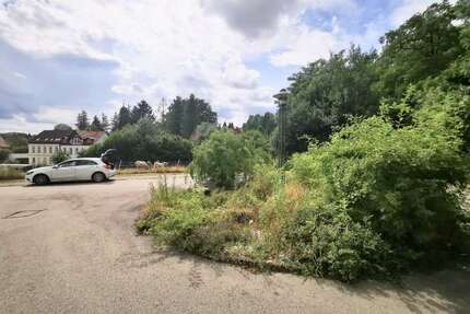 Grundstück zum Mieten in Penig 3.300,00 € 1146 m²