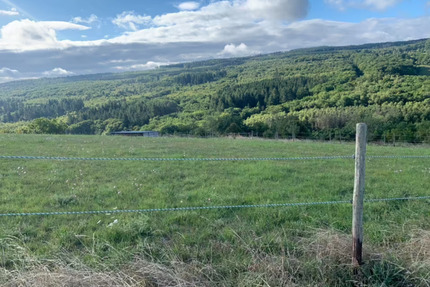 Sommer-Weide für zwei Pferde - 200,00&nbsp;EUR Kaltmiete, ca.&nbsp; 0,00&nbsp;m&sup2; in Seibersbach (PLZ: 55444)