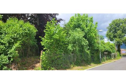 Großzügiges Baugrundstück in herrlich ruhiger Lage in der Saalfelder Südstadt zu verkaufen - Saalfeld/Saale