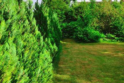 Grundstück zu verkaufen in Berlin 399.000,00 € 551 m²