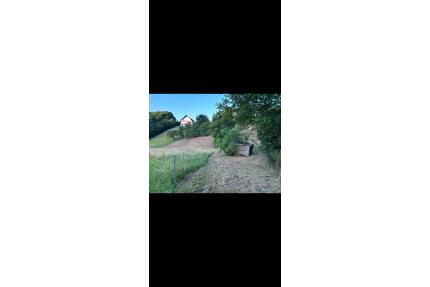 Garten zu verpachten - 178,00&nbsp;EUR Kaltmiete, ca.&nbsp; 0,00&nbsp;m&sup2; in Aschaffenburg (PLZ: 63743) Gailbach