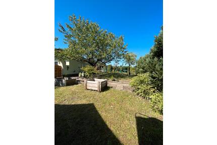 Kleingarten - 3.250,00&nbsp;EUR Kaltmiete, ca.&nbsp; 0,00&nbsp;m&sup2; in Finsterwalde (PLZ: 03238)