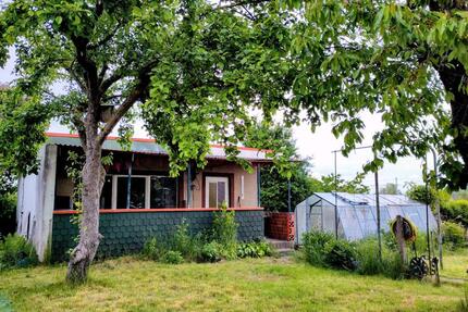 Kleingarten in Rostock Stadtmitte Südstadt abzugeben ´Hellbach´ - Papendorf