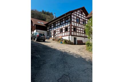 3- Zimmer-Wohnung mit Schwarzwald-Flair – Erstbezug - Bühlertal