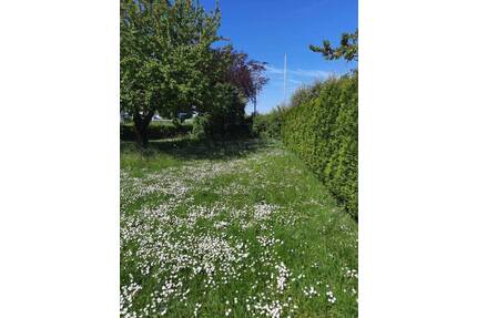Verkehrsgünstiges Grundstück mit vielfältigen Bebauungsmöglichkeiten in Geldersheim Schweinfurt
