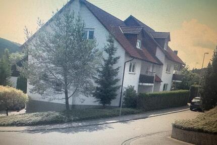 Schöne und ruhige 2 ZKB DG-Wohnung inkl. Küche zu vermieten - Idar-Oberstein